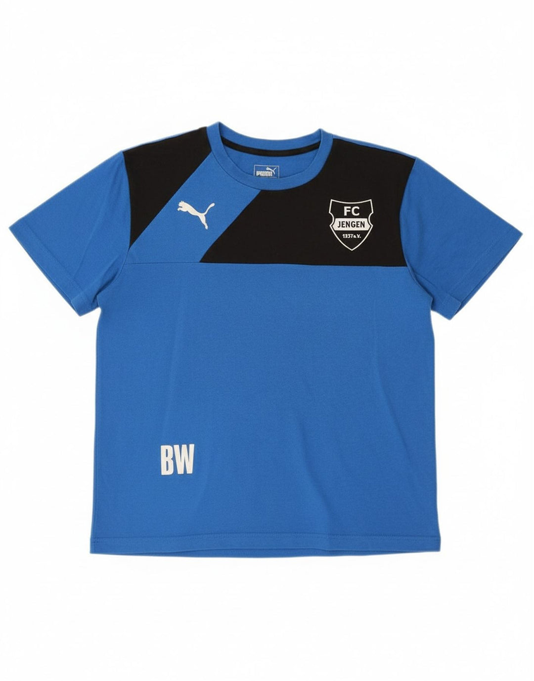 PUMA Mens FC Jengen T-Shirt Top Medium Blue Colourblock Polyester