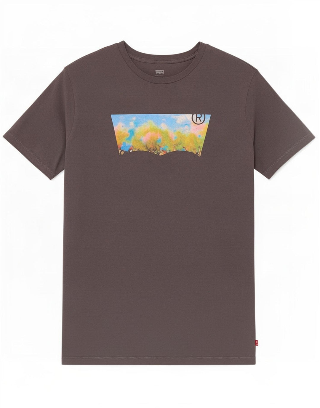 T-shirt grafica da uomo Levi's grande grigia