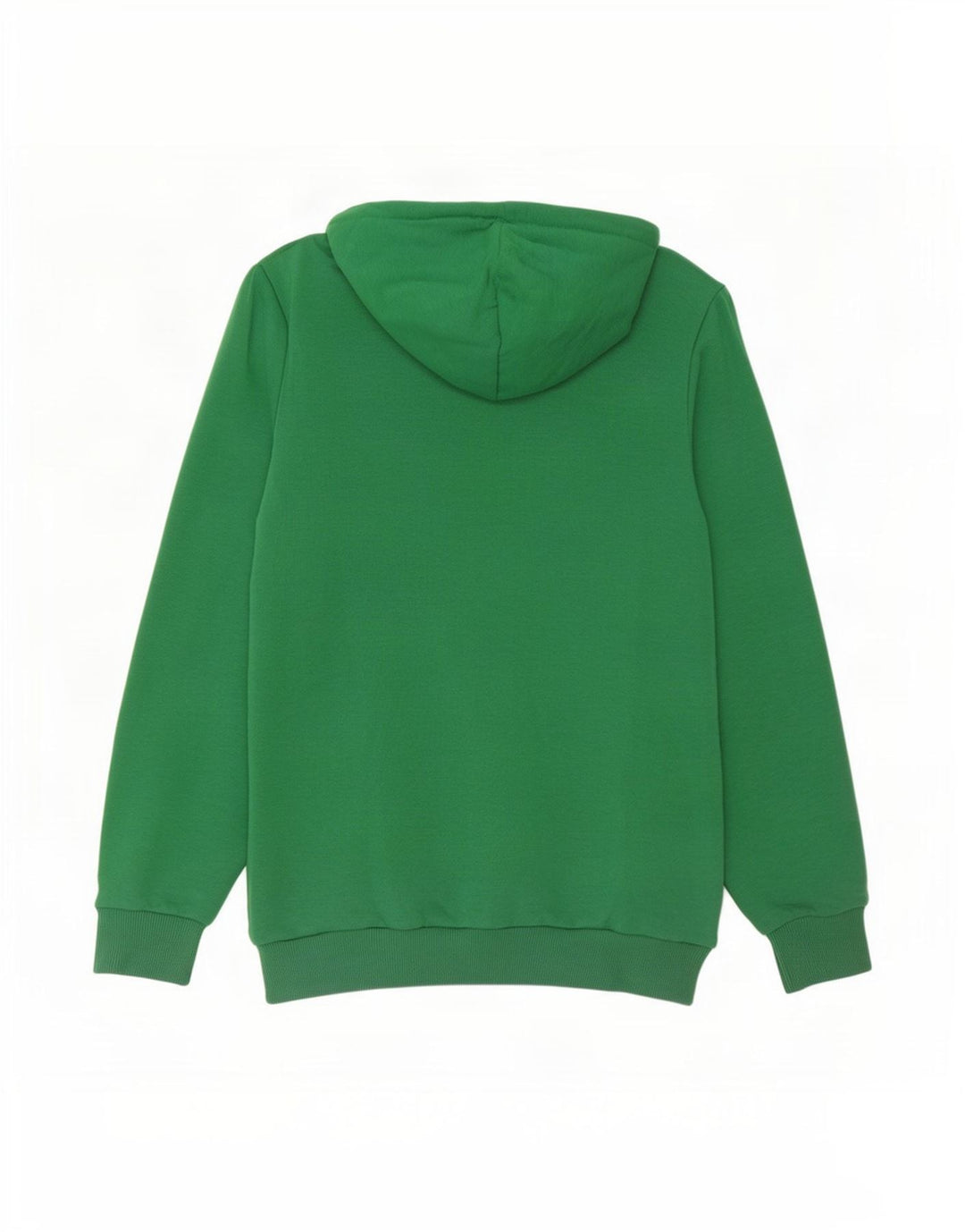 Felpa con cappuccio grafica da uomo Puma Verde medio