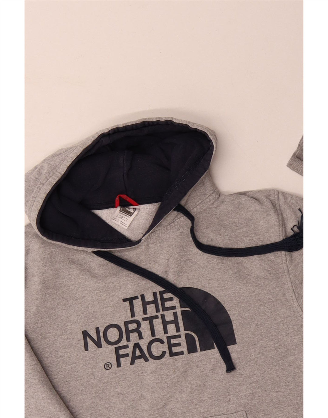 THE NORTH FACE Felpa con cappuccio grafica da uomo piccola in cotone grigio