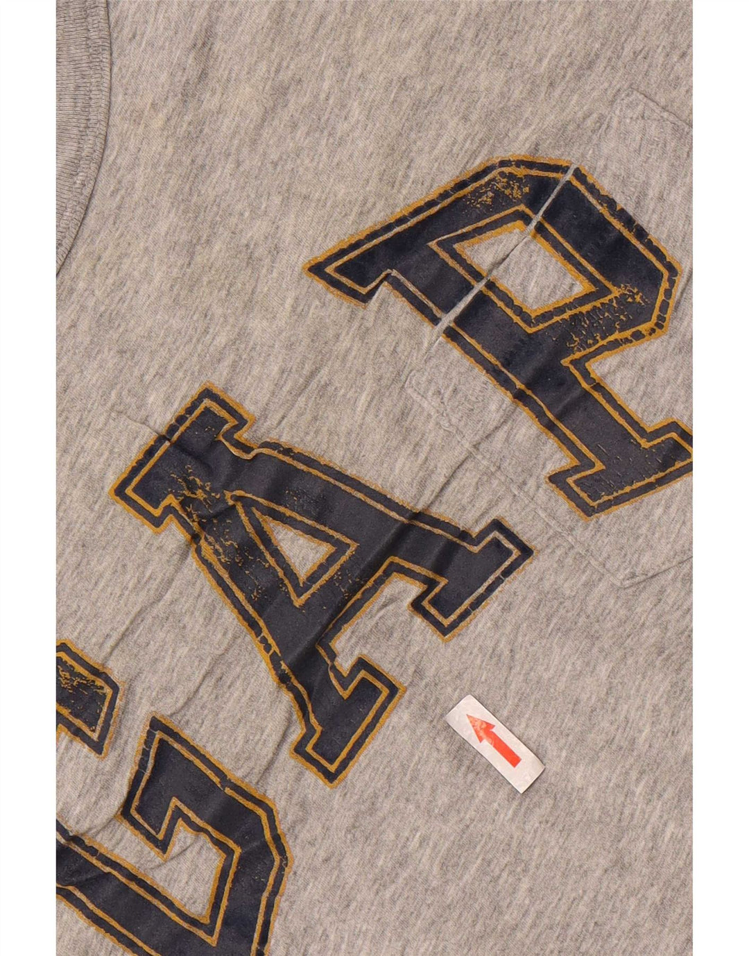 Gap T-shirt grafica da uomo grande grigia