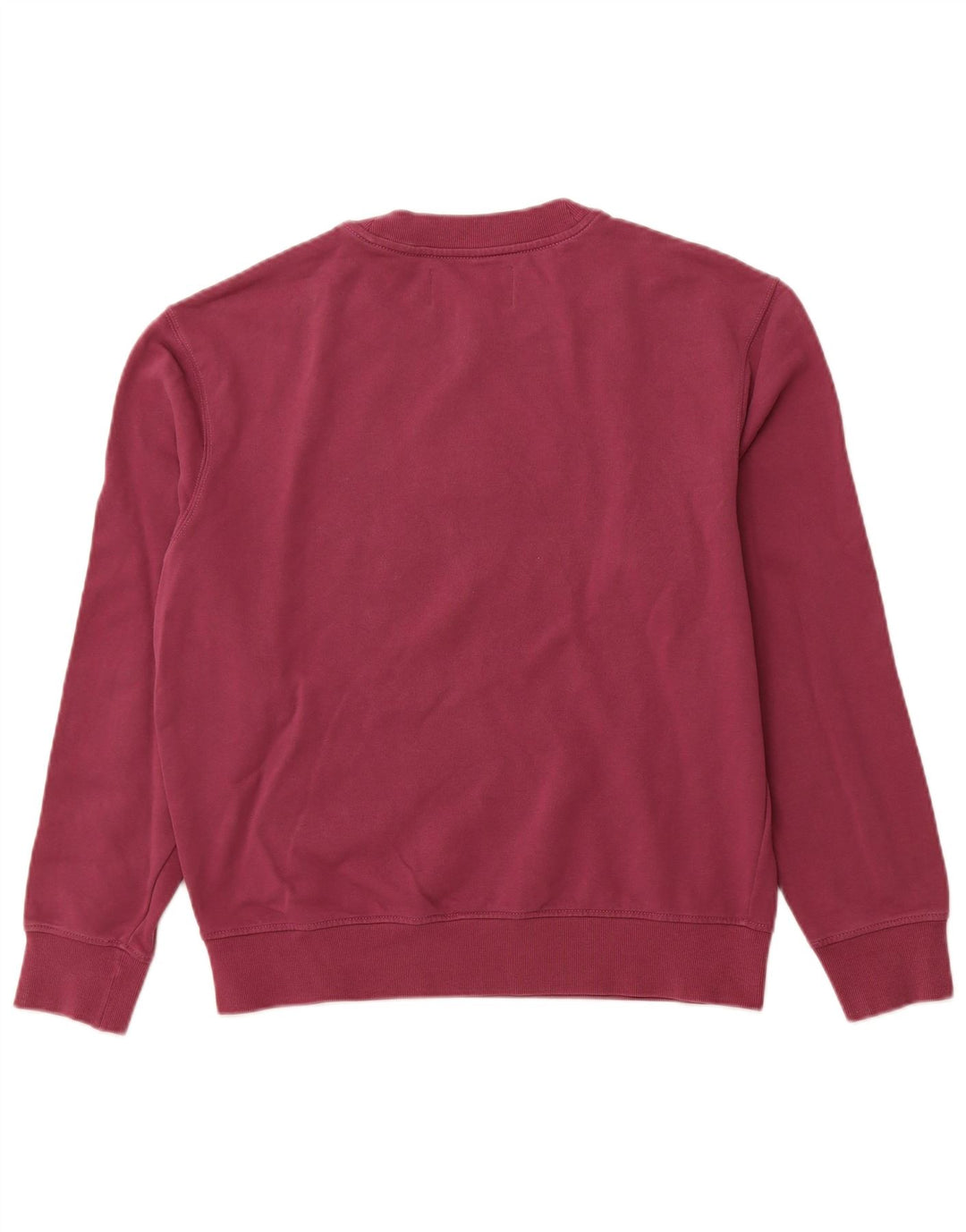 CALVIN KLEIN JEANS Felpa con grafica da uomo Maglione viola medio