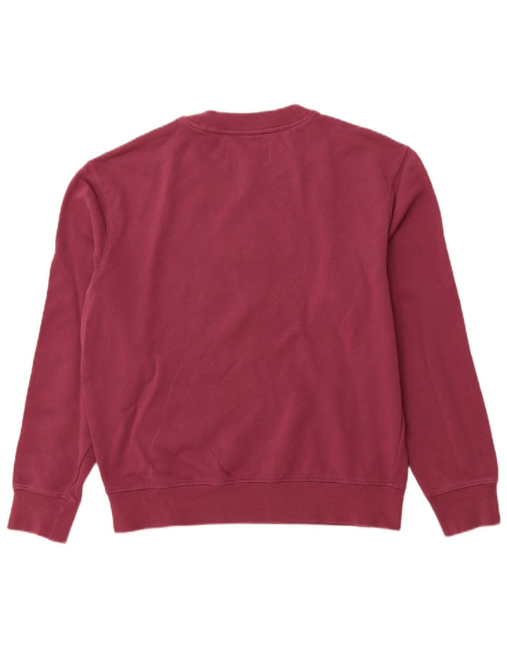 CALVIN KLEIN JEANS Felpa con grafica da uomo Maglione viola medio