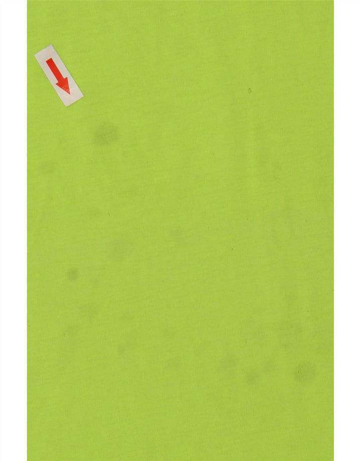 T-shirt grafica da uomo The North Face Top piccola in poliestere verde