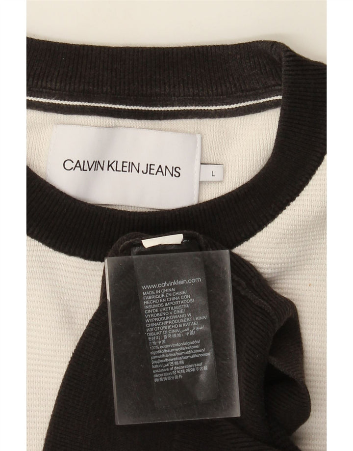 Calvin Klein Jeans Felpa grafica da uomo Maglione grande color block nero