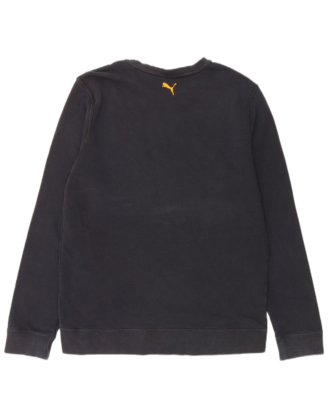 Felpa grafica da uomo Puma Maglione grande blu navy