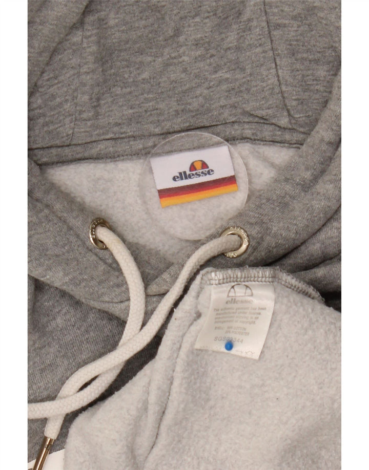 Felpa con cappuccio grafica da uomo Ellesse, piccola, in cotone grigio screziato