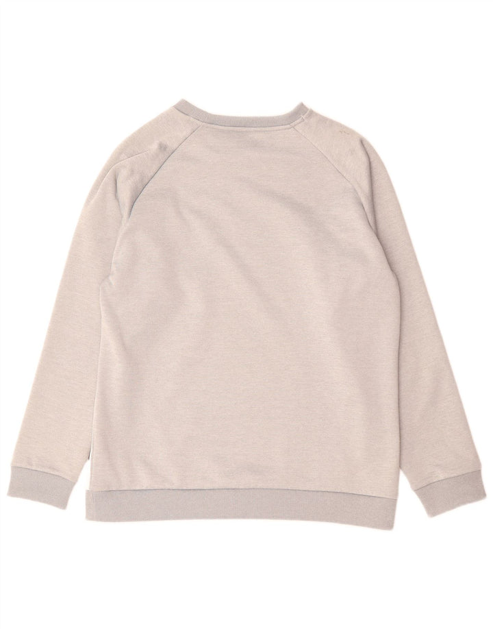 Felpa grafica da uomo Tommy Hilfiger Maglione poliestere grigio medio
