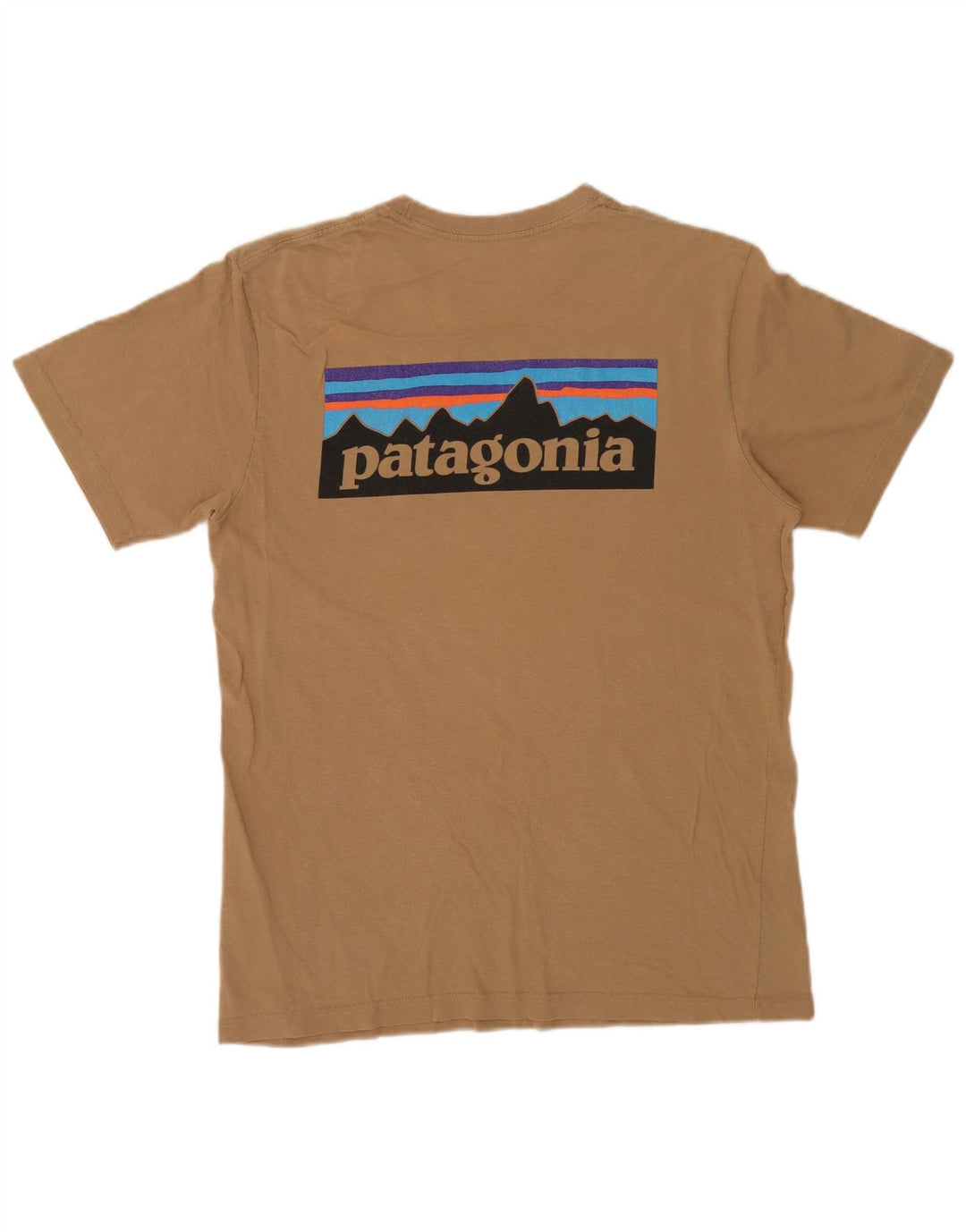 Patagonia T-shirt grafica da uomo con vestibilità regolare, top in cotone beige medio