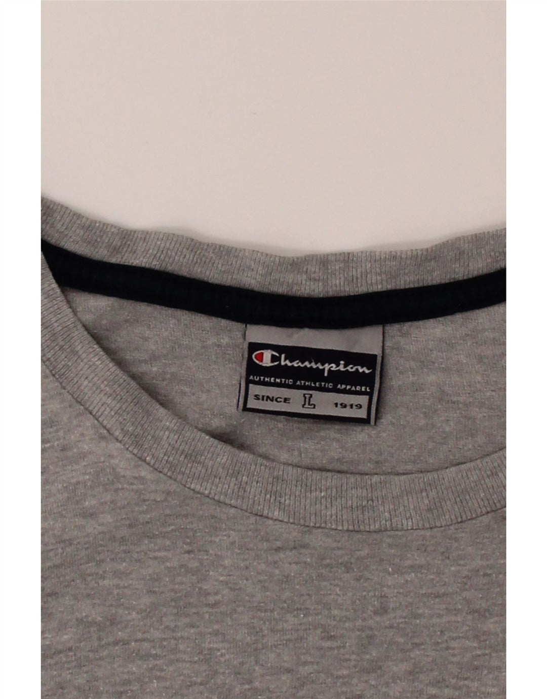 CHAMPION Mens Graphic T-Shirt Top Large Grey Cotton Vintage Champion and Second-Hand Champion from Messina Hembry 