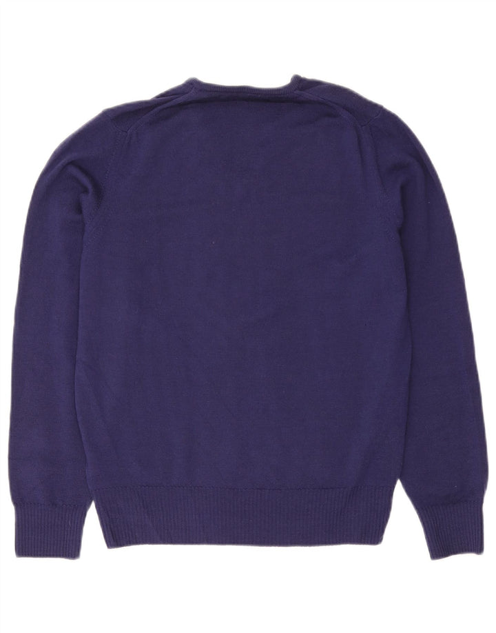 Maglione Zara da uomo con scollo a V in lana viola medio