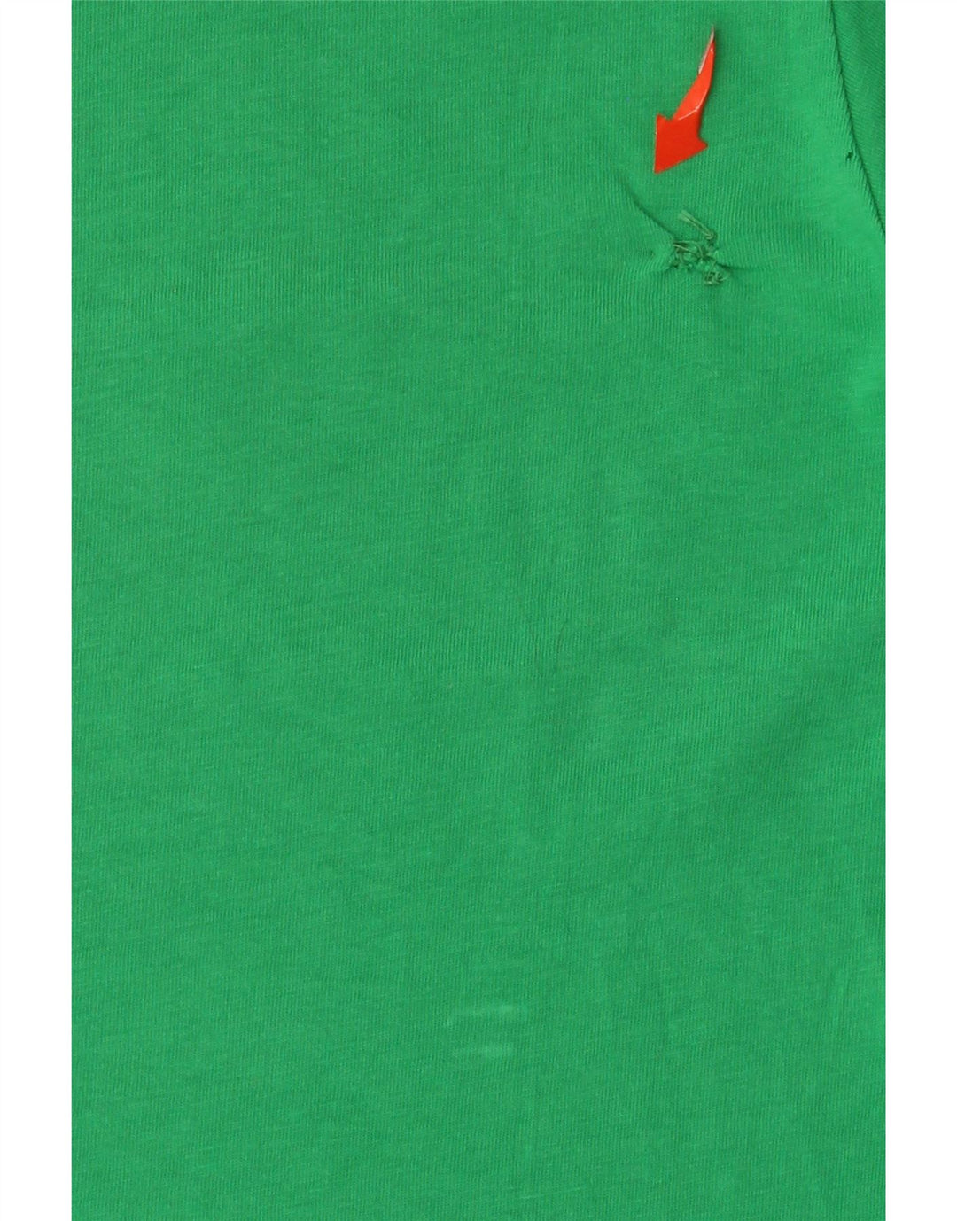 T-shirt grafica da uomo Champion Top in cotone verde medio