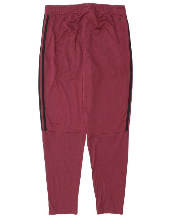 Pantaloni da tuta Adidas da uomo in poliestere bordeaux medio