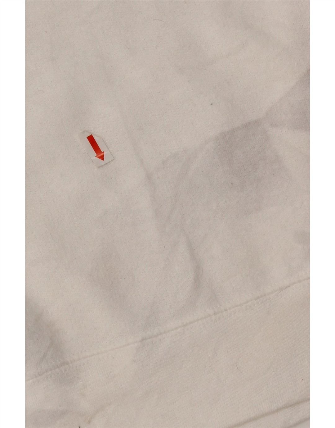 Felpa grafica da donna Champion, maglione UK 16, grande, poliestere bianco