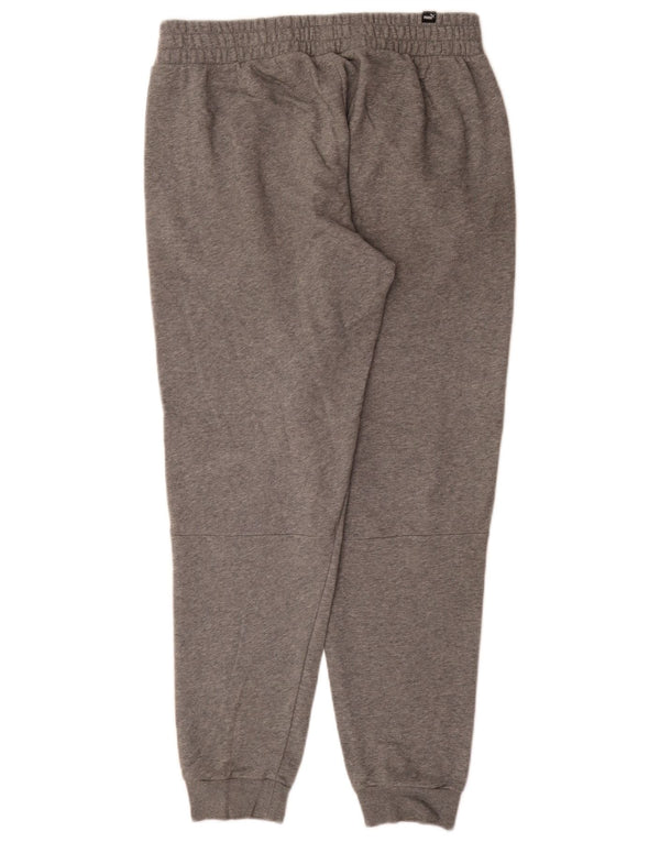 Pantaloni da tuta grafica da uomo Puma Joggers Large Grey Colourblock Sports