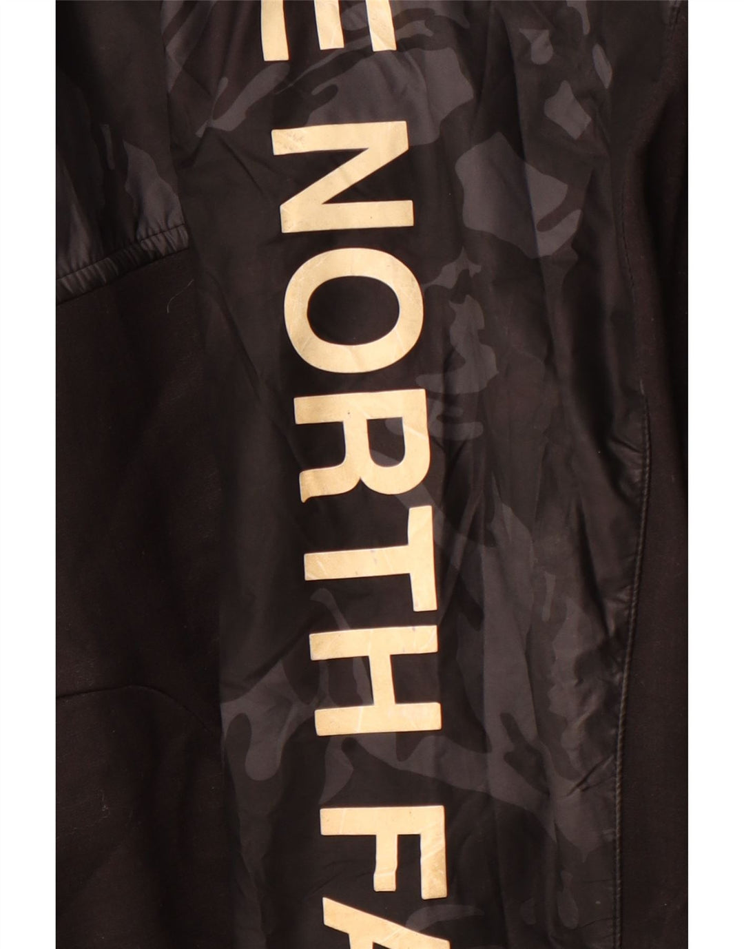 THE NORTH FACE Felpa con cappuccio con zip grafica da uomo piccola sportiva nera