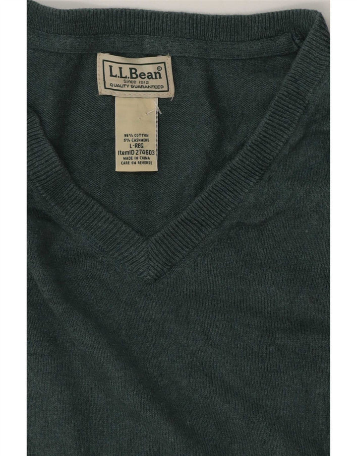 Maglione da uomo con scollo a V L.L.Bean grande cotone verde