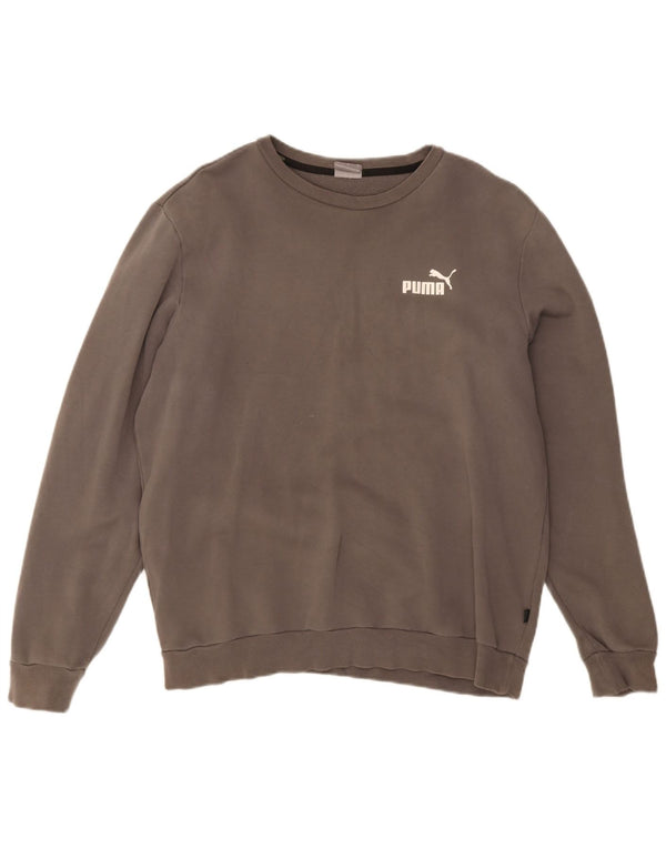 Felpa da uomo Puma Maglione grande grigio