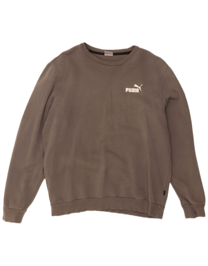 Felpa da uomo Puma Maglione grande grigio
