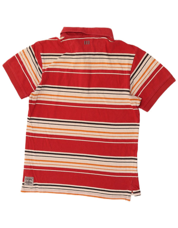 Polo da uomo Animal in cotone a righe rosse medie