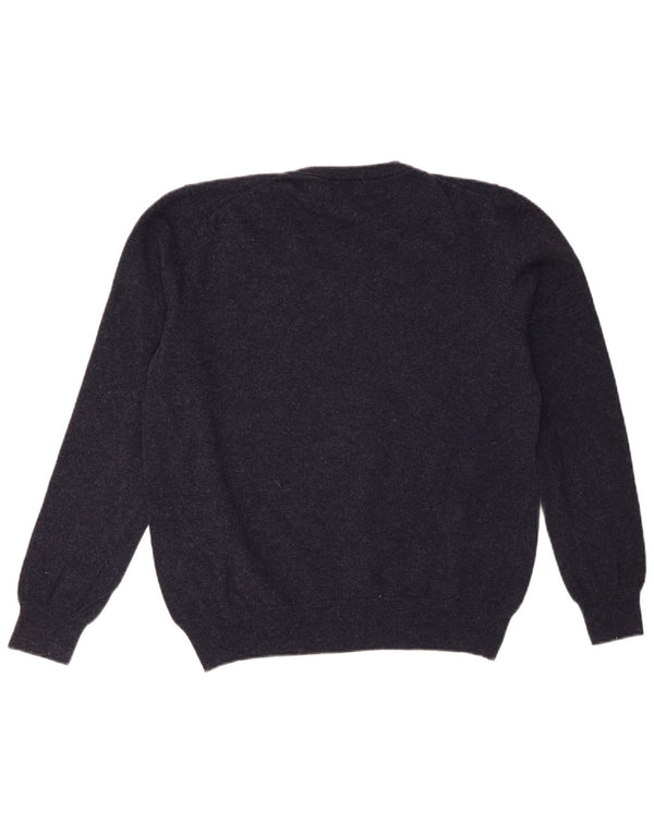 REFRIGIWEAR Womens V-Neck Jumper Sweater UK 18 XL Navy Blue Wool