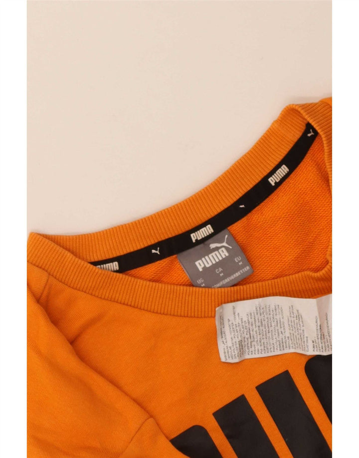 Felpa grafica da uomo Puma Maglione cotone arancione medio