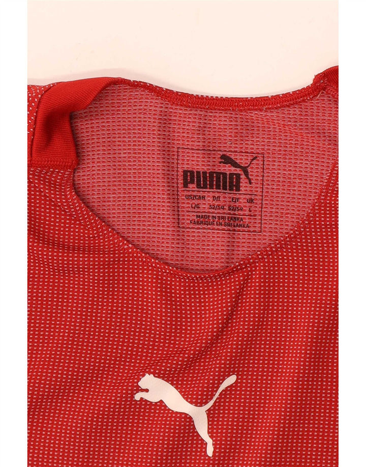 T-shirt grafica da uomo Puma Top a righe rosse grandi