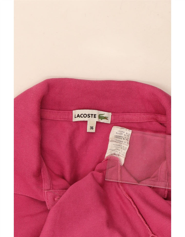 Polo da donna LACOSTE EU 36 piccola cotone rosa