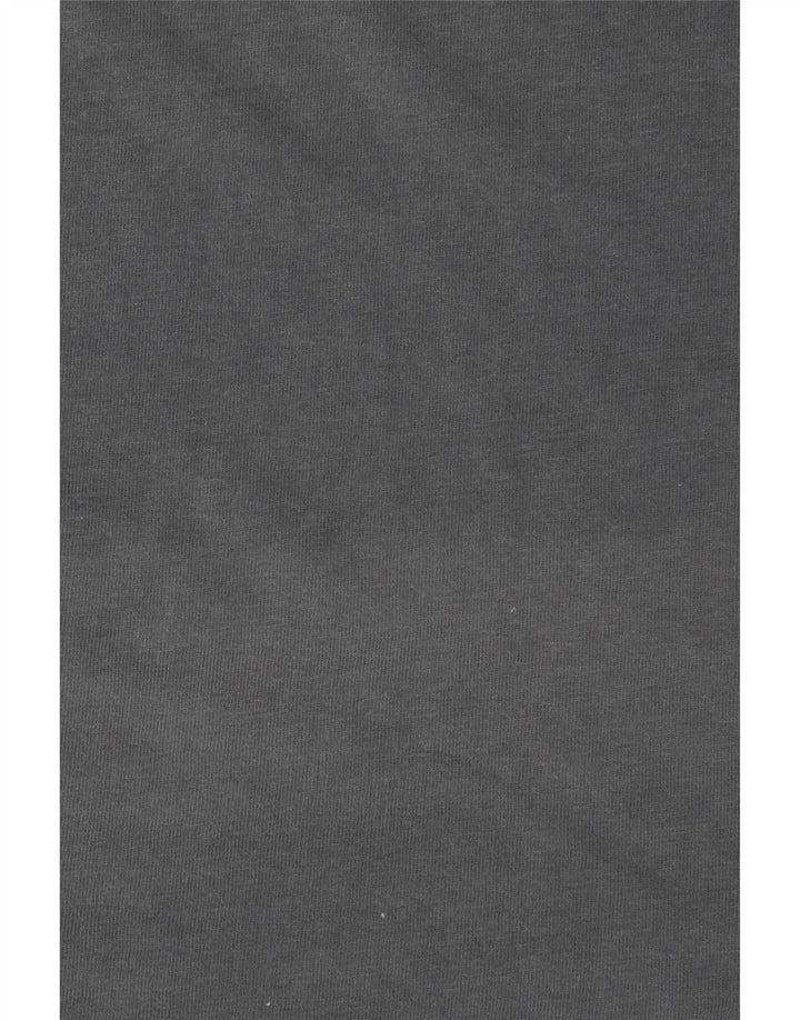 T-shirt grafica classica da uomo Vans grande grigia