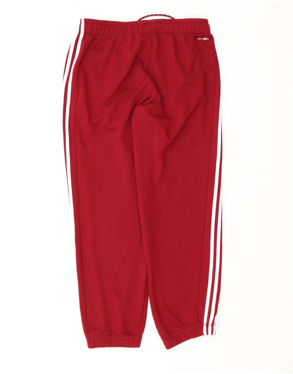 Pantaloni da tuta da uomo Adidas Joggers grandi in cotone bordeaux