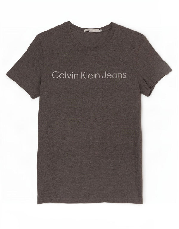 Maglietta grafica da uomo Calvin Klein Jeans Top Grigio medio