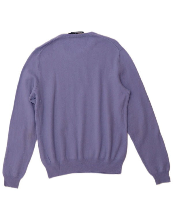 POLO RALPH LAUREN Maglione da uomo girocollo piccolo in lana merino viola