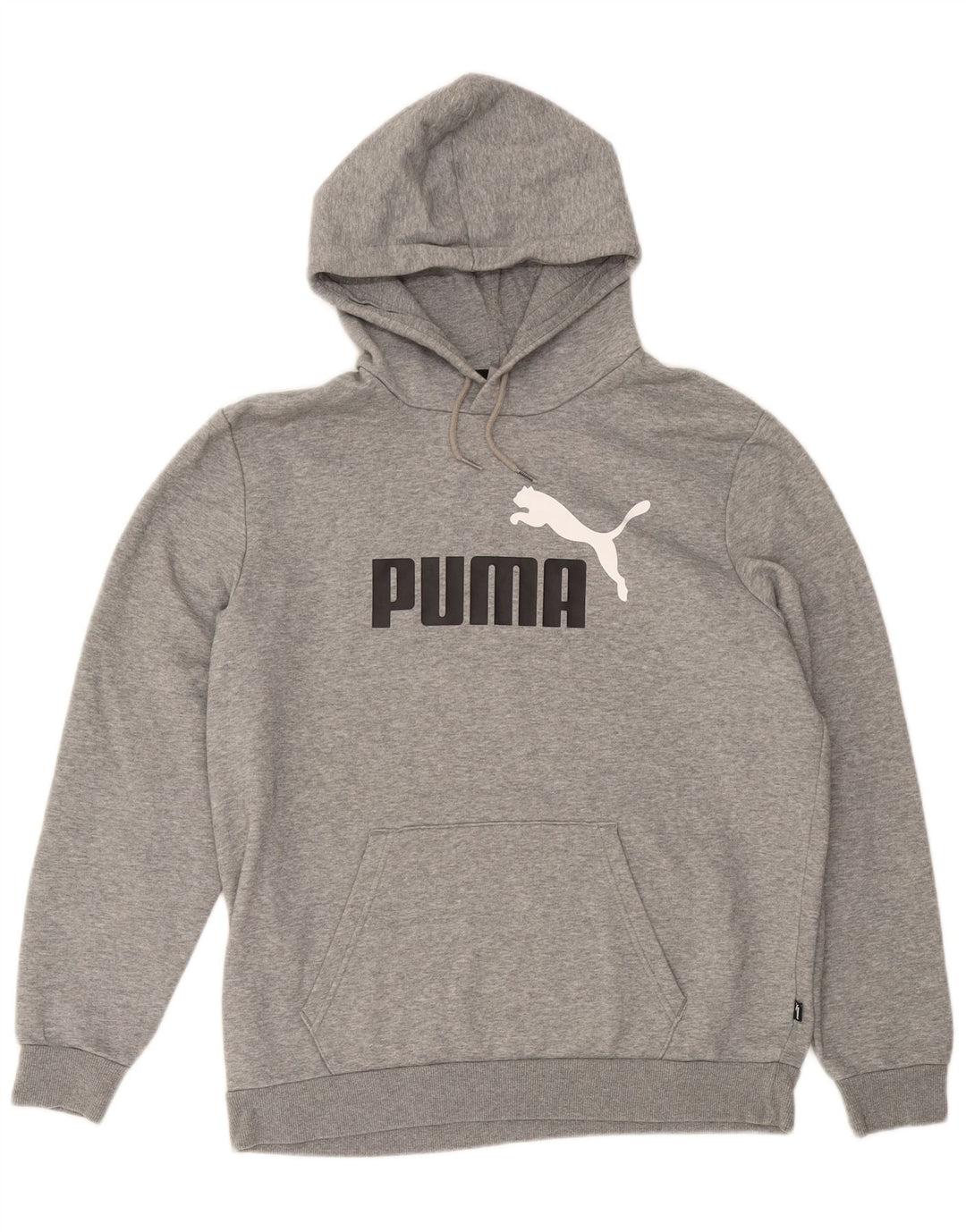 Felpa con cappuccio grafica da uomo Puma Large grigia screziata