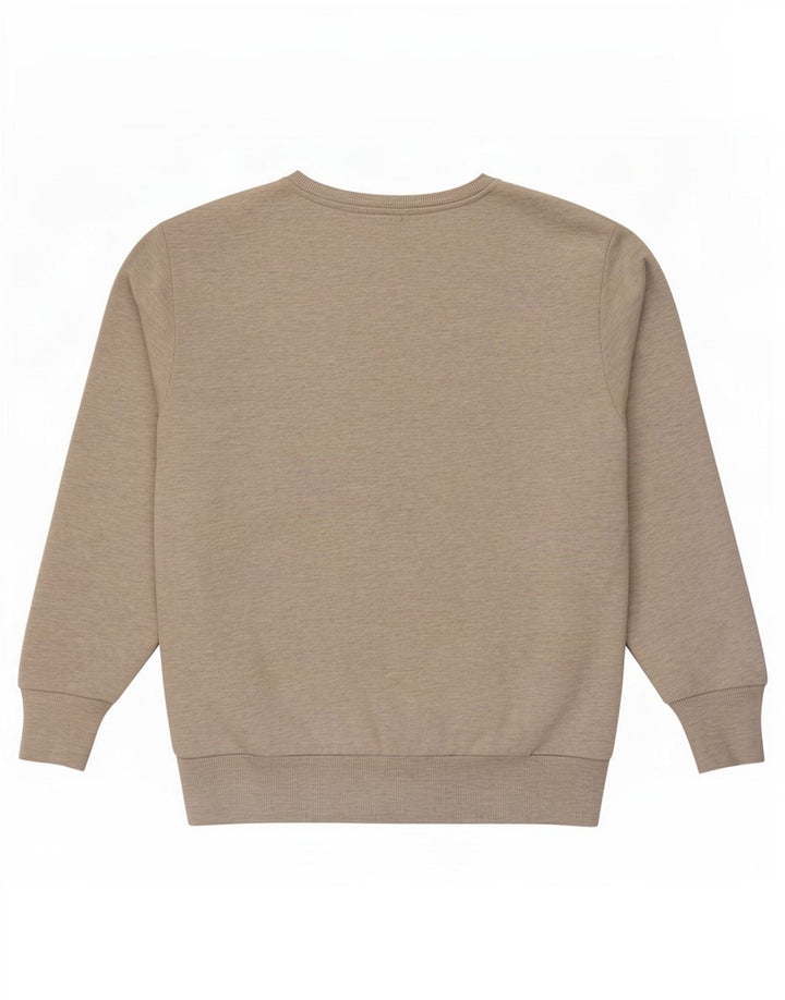 Felpa da uomo Ellesse Maglione in cotone grigio medio