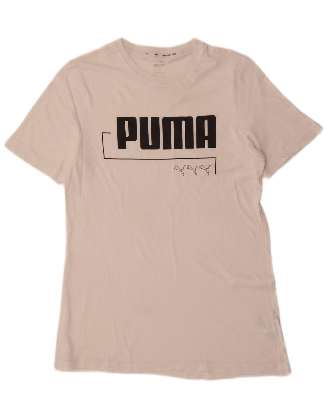 T-shirt grafica da uomo Puma Small bianca
