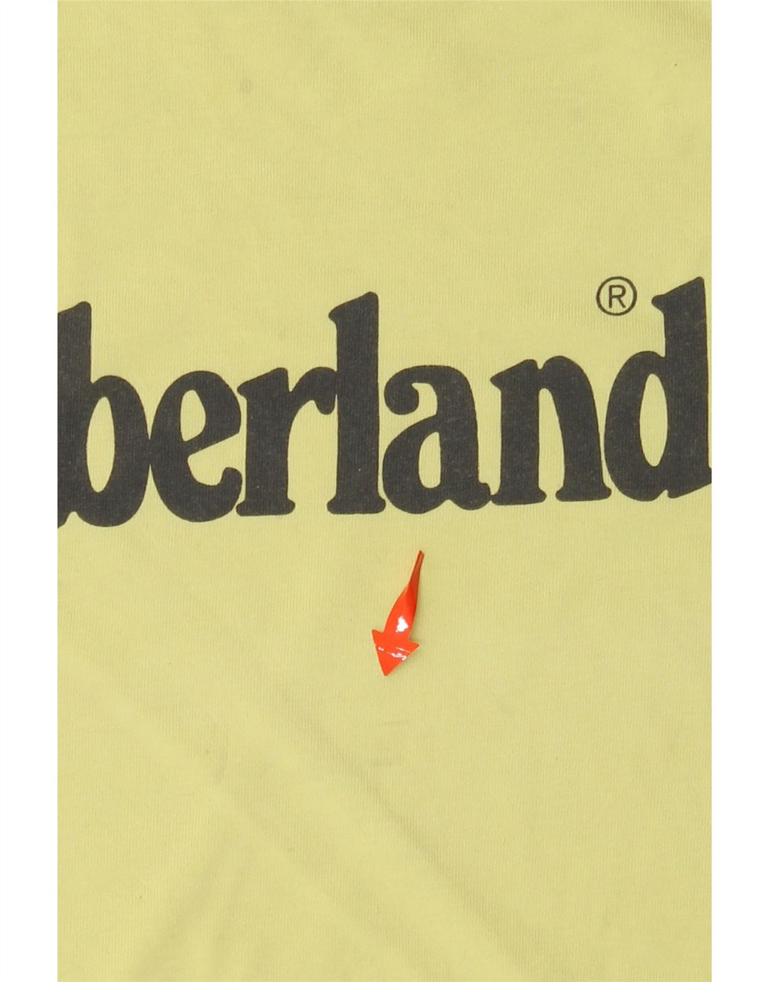T-shirt grafica per ragazzi TIMBERLAND Top 13-14 anni piccola in cotone verde