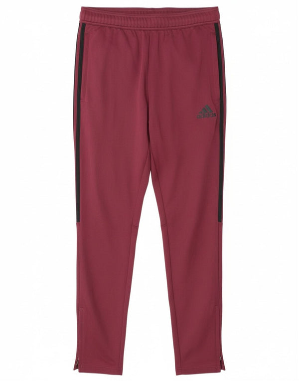 Pantaloni da tuta Adidas da uomo in poliestere bordeaux medio