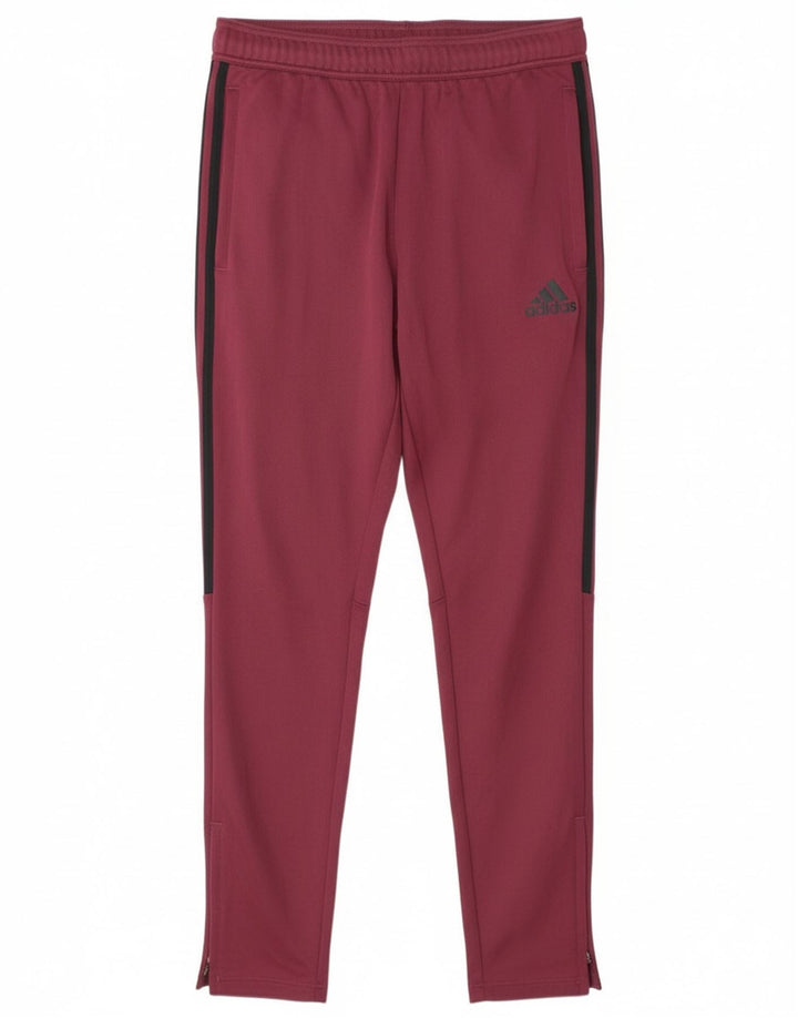 Pantaloni da tuta Adidas da uomo in poliestere bordeaux medio