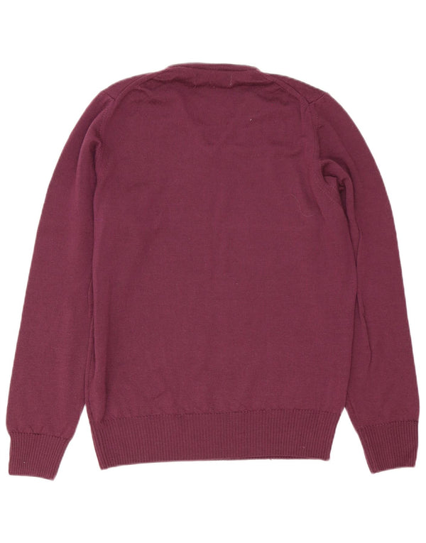 Maglione Zara da uomo con scollo a V viola medio