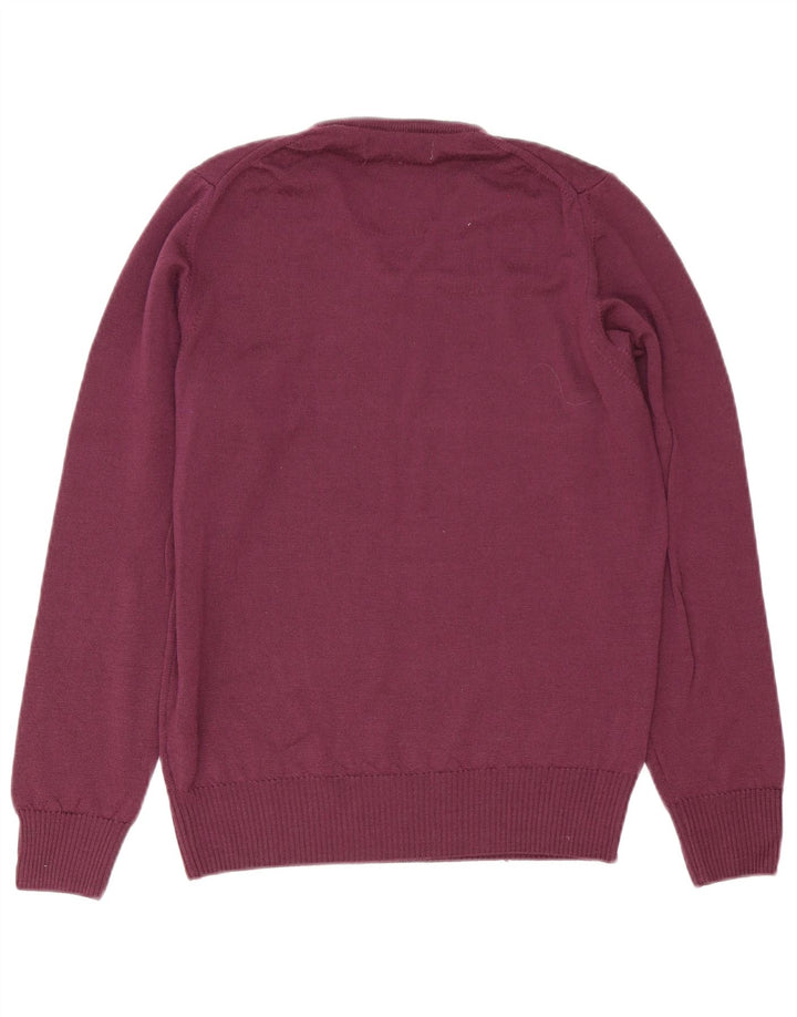 Maglione Zara da uomo con scollo a V viola medio