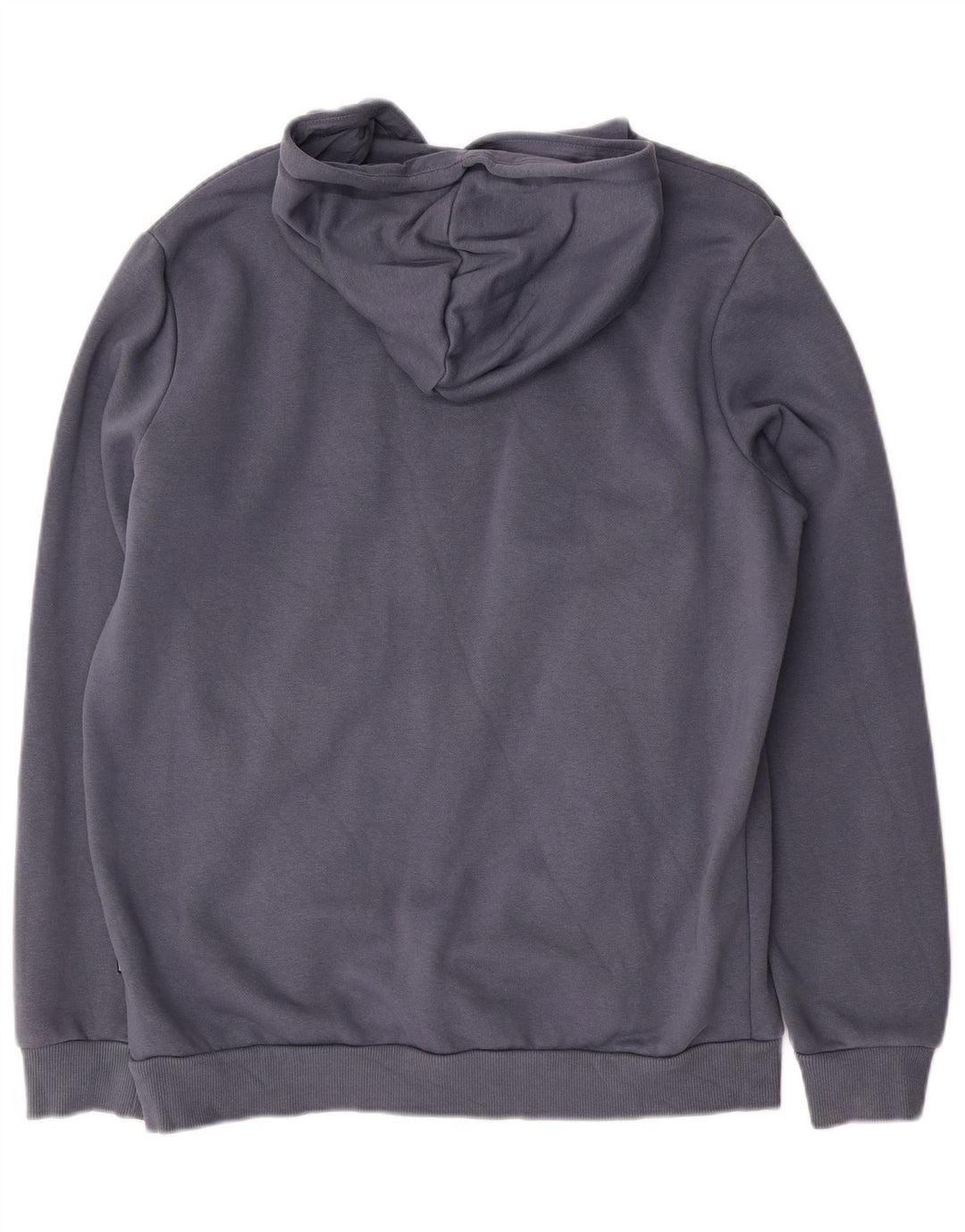 Felpa con cappuccio grafica da uomo Puma in cotone blu medio