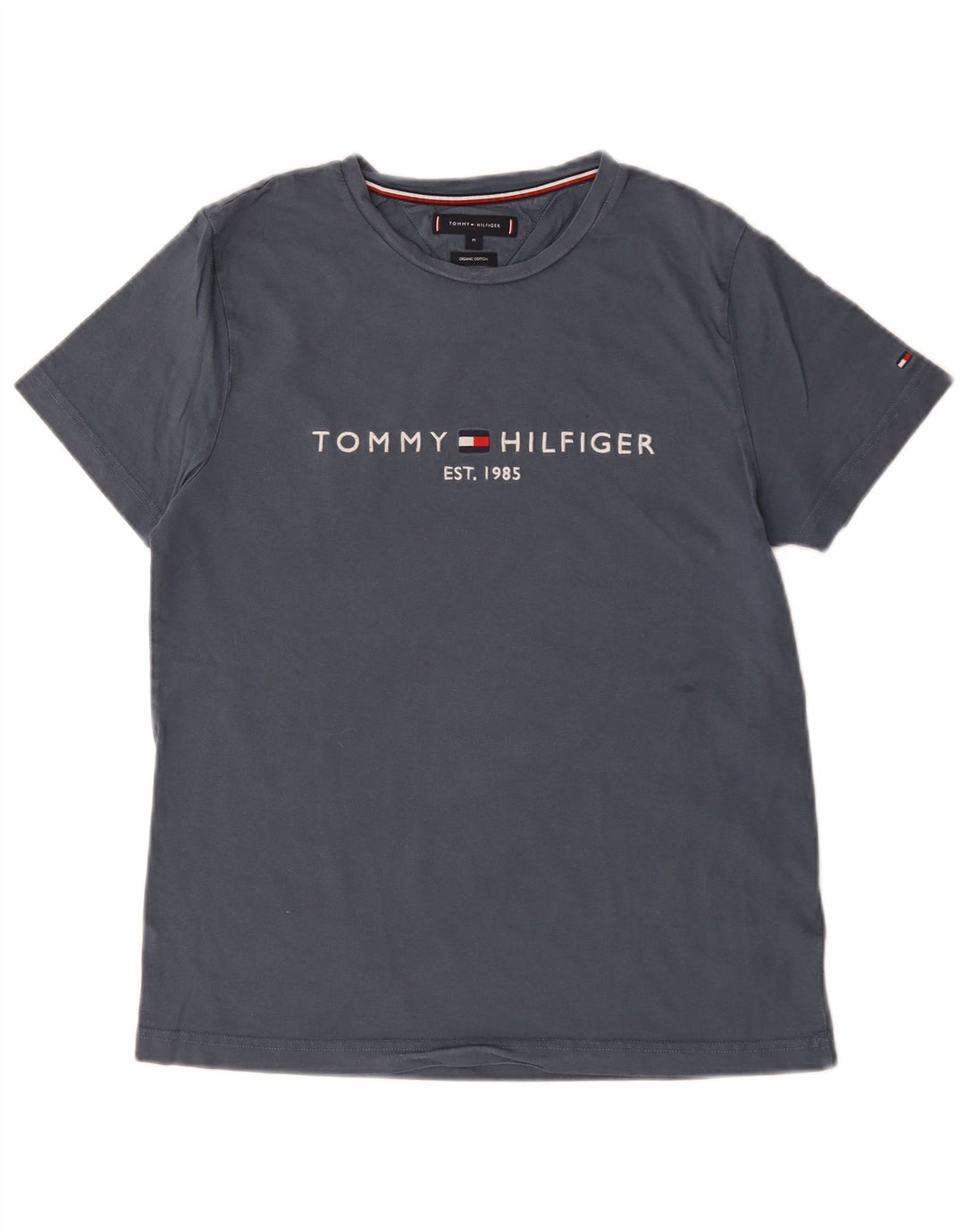 T-shirt grafica da uomo Tommy Hilfiger Top in cotone grigio medio
