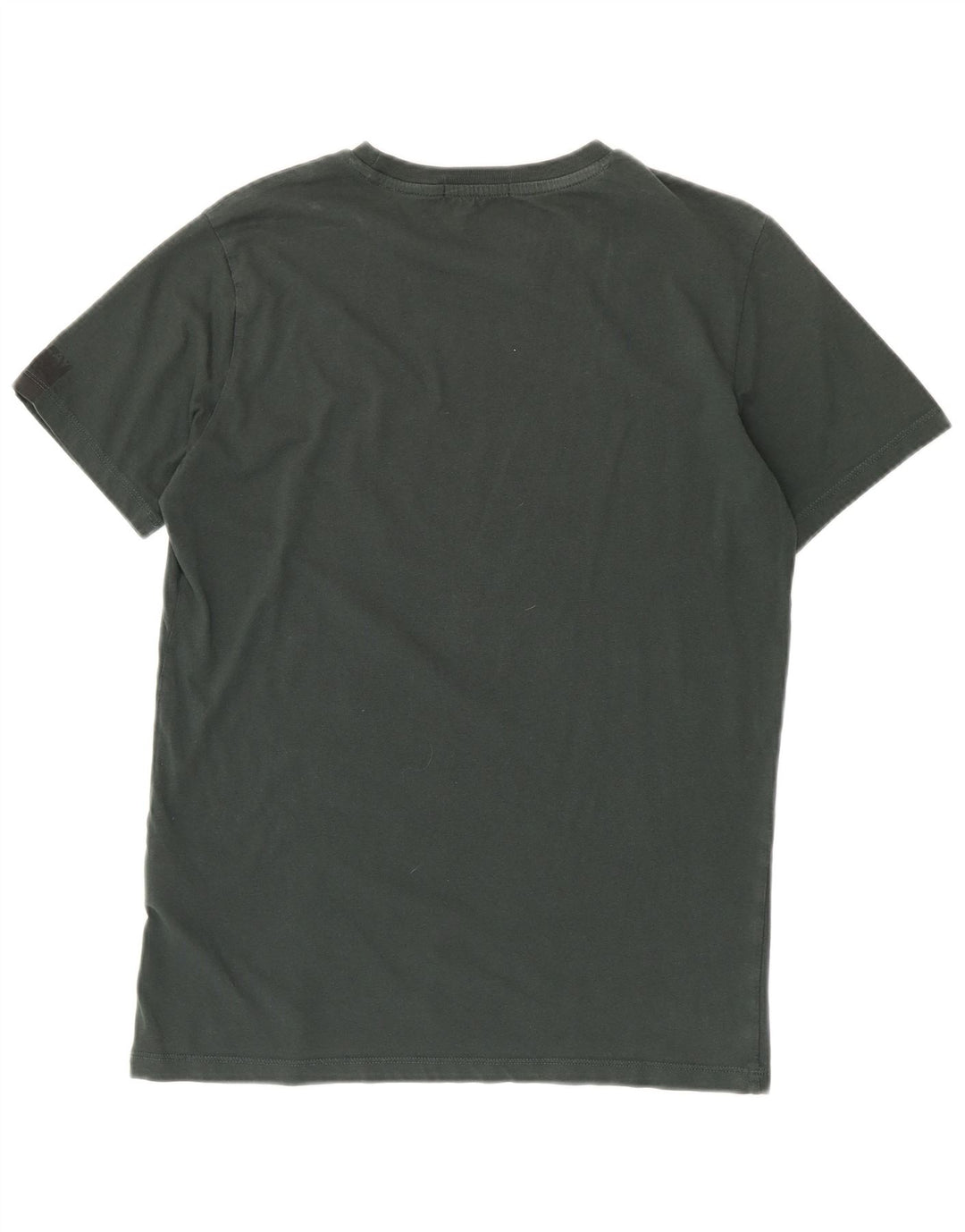 T-shirt da uomo Replay Top in cotone verde medio