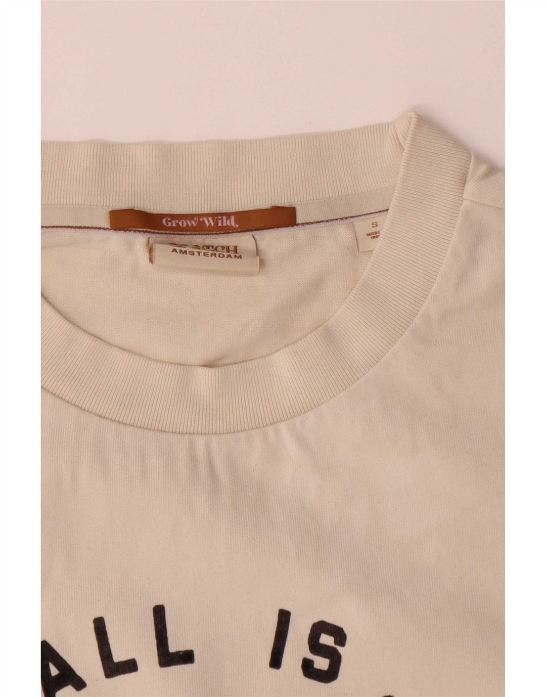 T-shirt grafica da uomo Scotch & Soda Top piccola in cotone bianco
