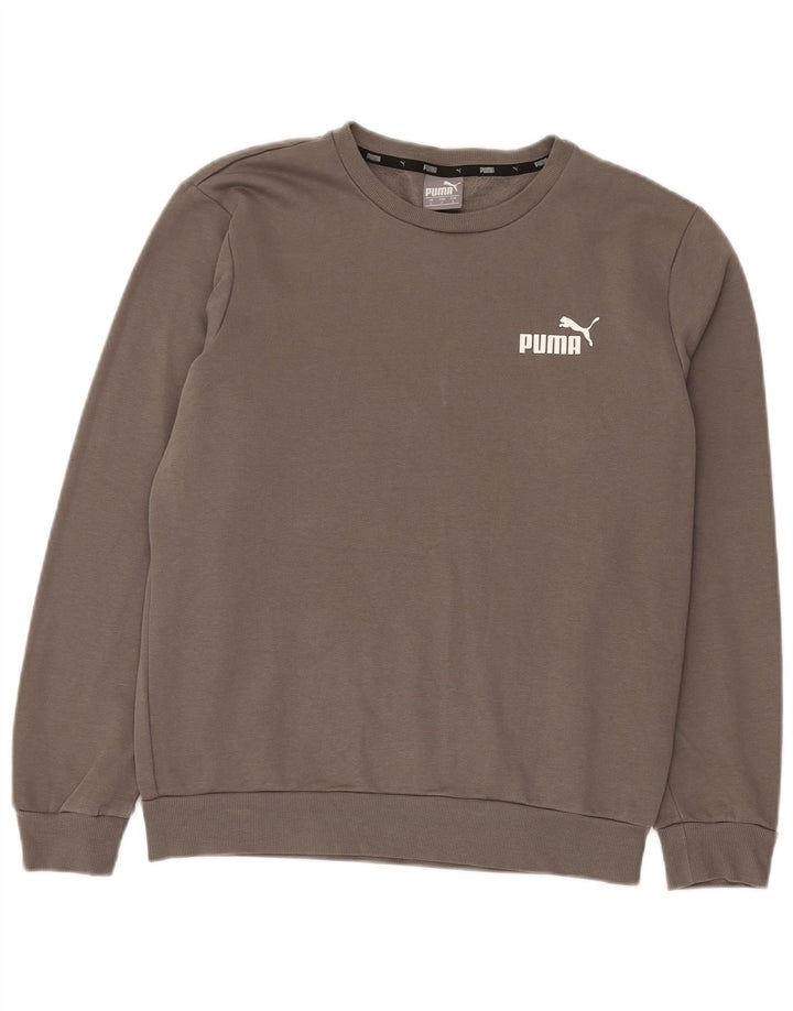 Felpa da uomo Puma Maglione piccolo in cotone grigio