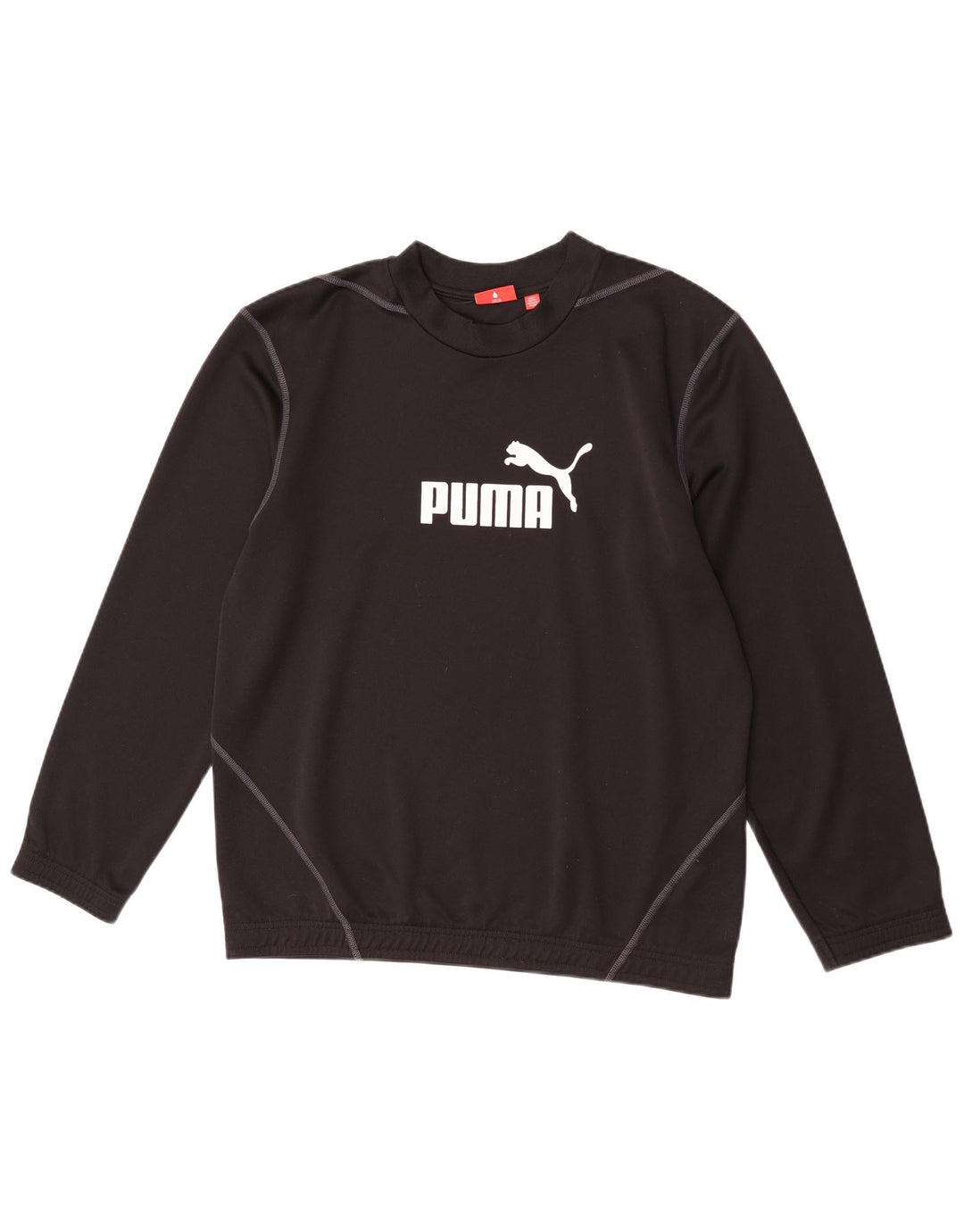 Felpa grafica da uomo Puma Felpa media nera in poliestere
