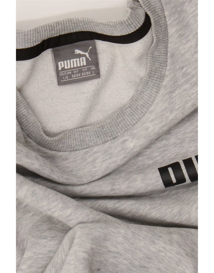 Felpa da uomo Puma Maglione grande grigio