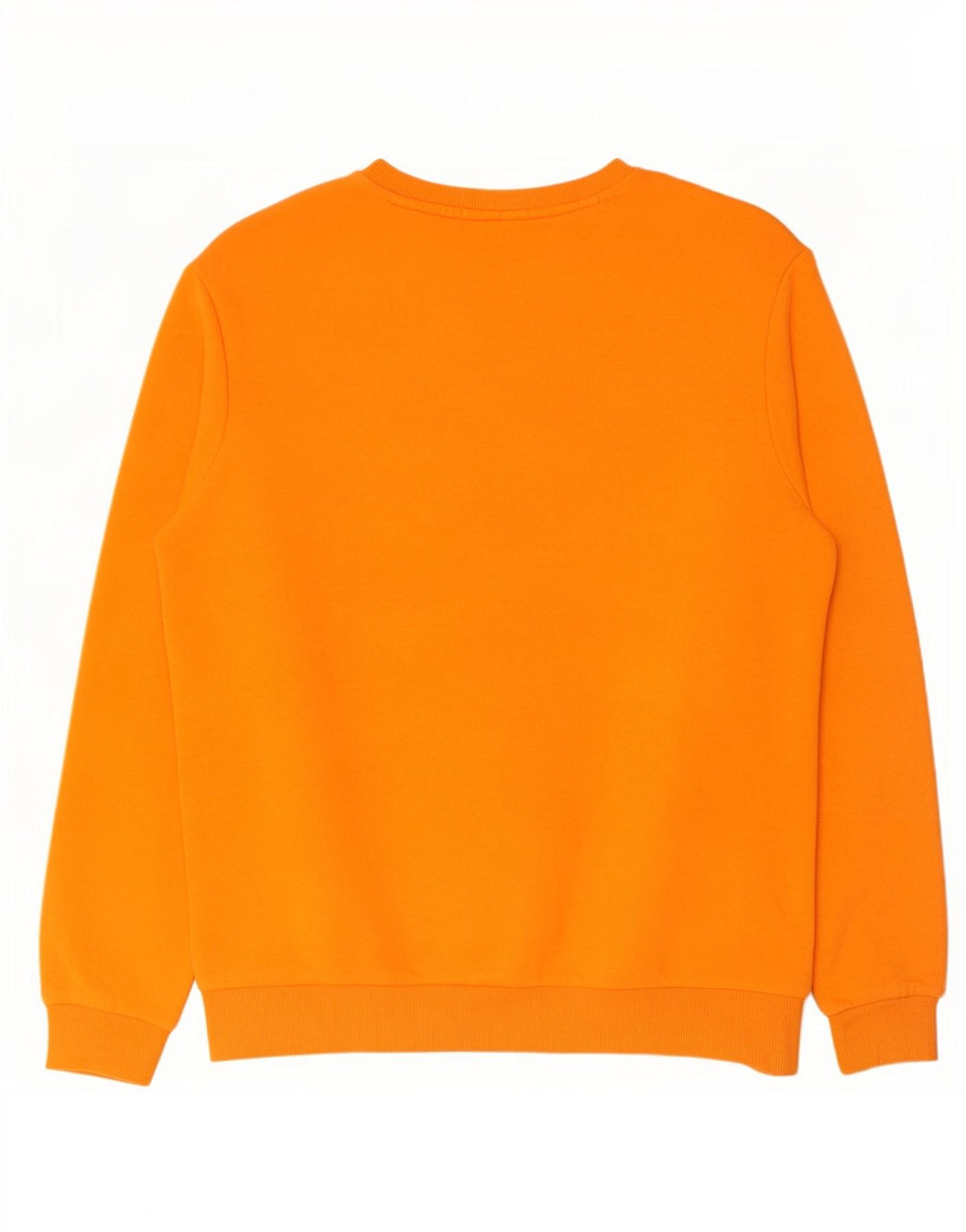 Felpa grafica da uomo Puma Maglione cotone arancione medio