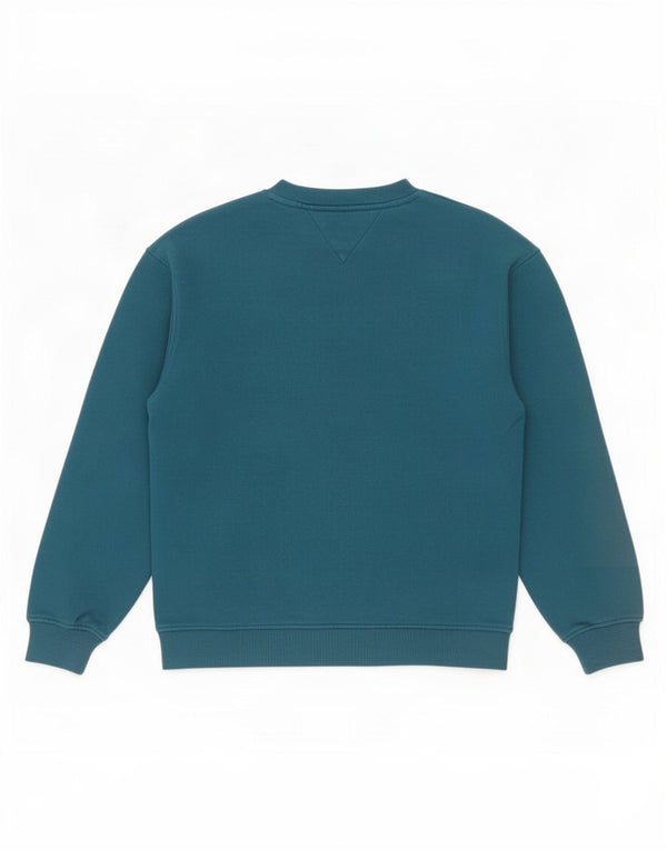 Felpa grafica da bambino Tommy Hilfiger 15-16 anni in cotone blu