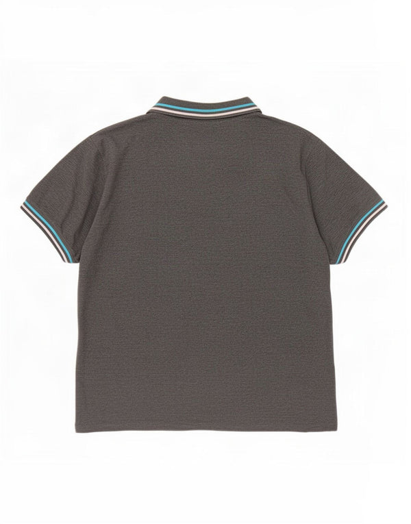 Polo da uomo Pierre Cardin 2XL cotone grigio